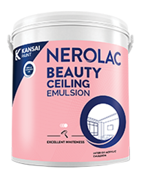 Beauty Ceiling Emulsion