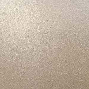 Biscuit Powder