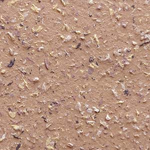 Texture 6