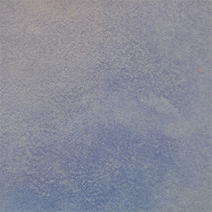 TC: Periwinkle - NY2418
