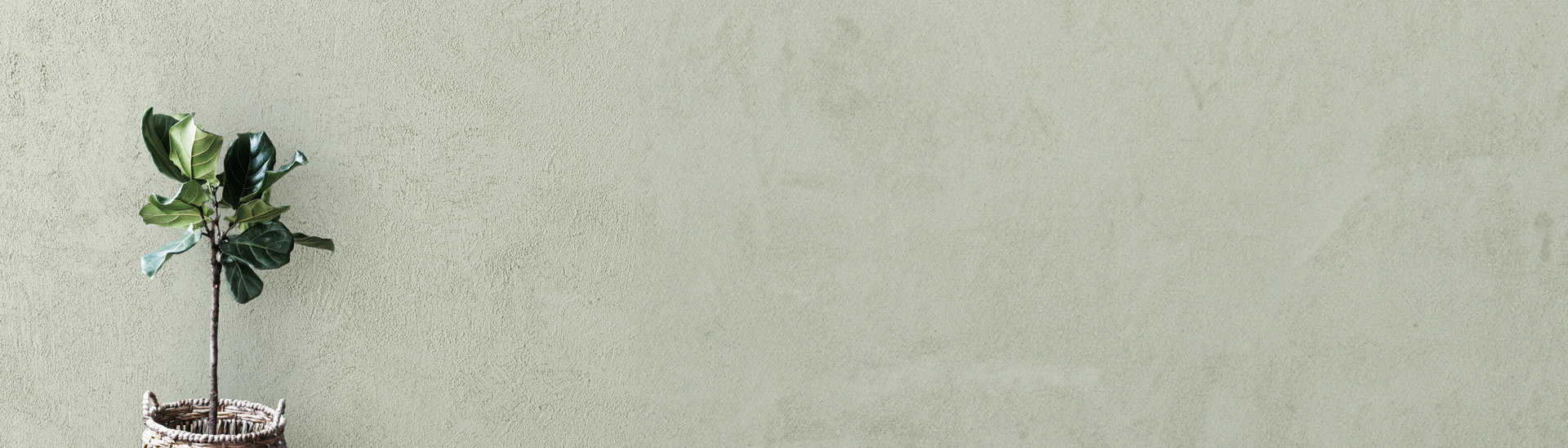 Tracce Texture Paint