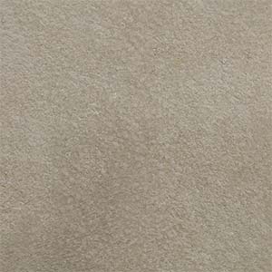 TC: Ashen Mist - NY3219