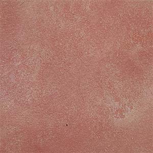 TC: Rustic Nectarine - NY3121