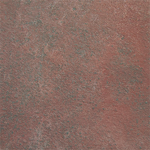 TC: Rustic Nectarinee - NY3121