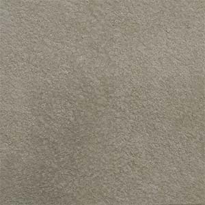 TC: Silver Sage - NY3620