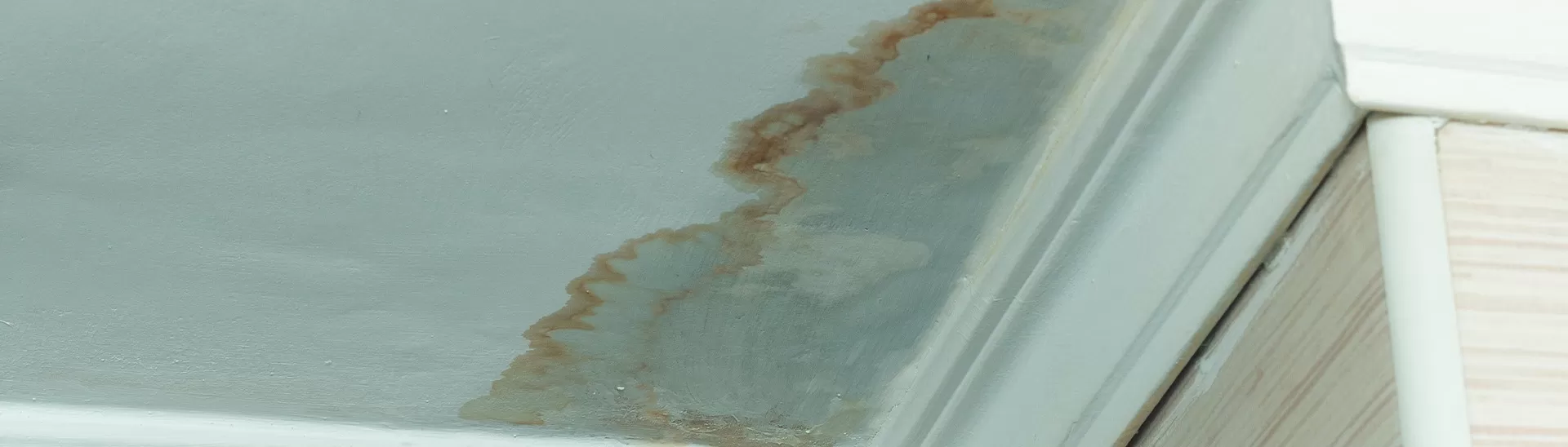 How to Identify Water Leakage in Your Home – 5 Common Signs & Fixes