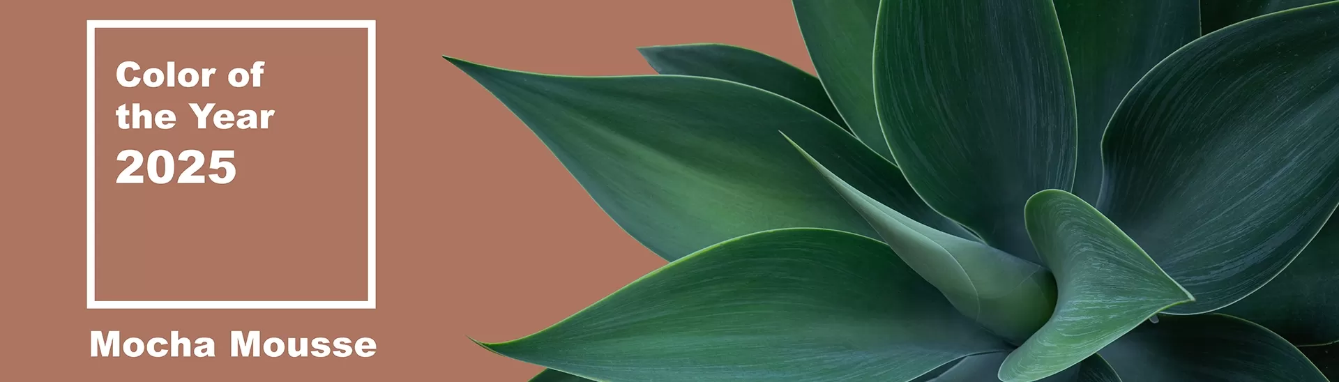 Mocha Mousse Colour of the Year – Meaning, Combinations, Interior Ideas and Trends