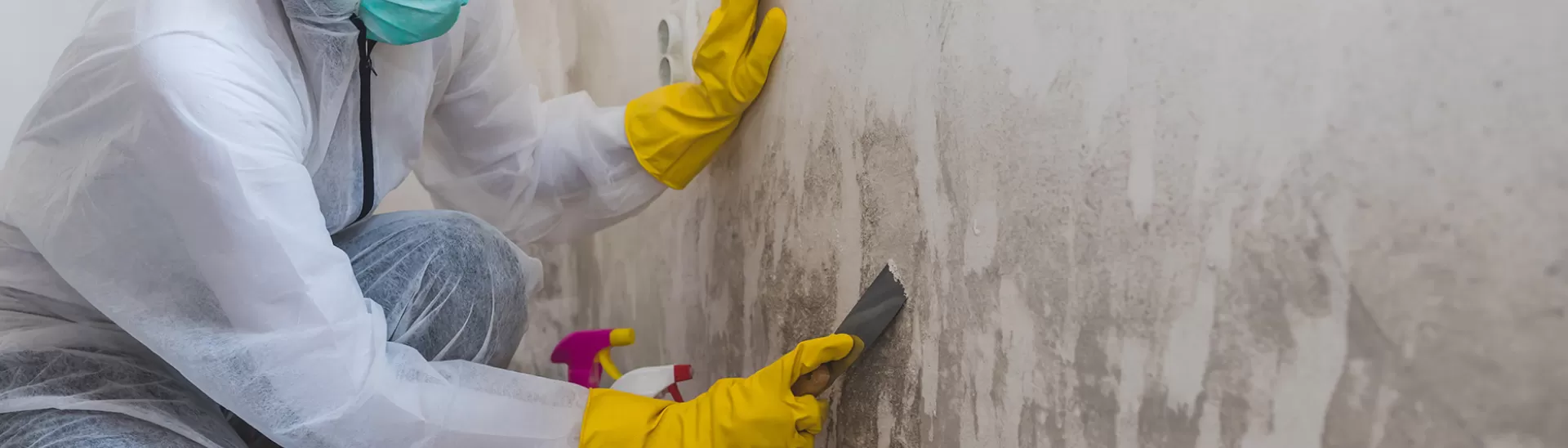 What Are Anti-Fungal and Anti-Bacterial Paints? Benefits & Uses