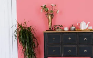 How to Make Pink Colour: Tips for Perfect Wall Paint Shades & Home Décor Ideas