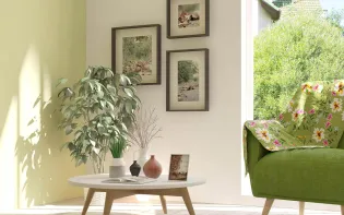 How to Make Green Colour: Tips for Perfect Wall Paint Shades & Home Décor Ideas