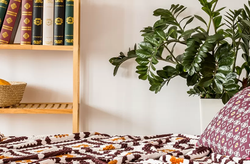 Guest Room Décor Ideas: How to Create a Cozy and Welcoming Space for Guests