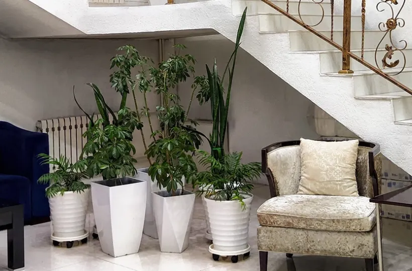 Top 15 Home Staircase Design Ideas: Modern Stairs Design Inside the House 