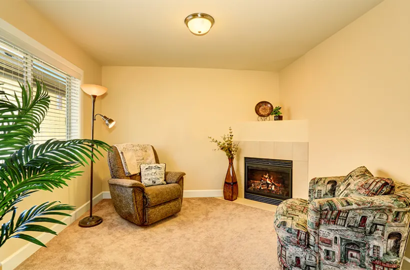 How to Make Beige Colour: Tips for Perfect Wall Paint Shades & Home Décor Ideas