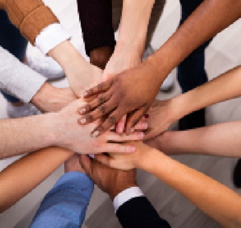 Diversity
